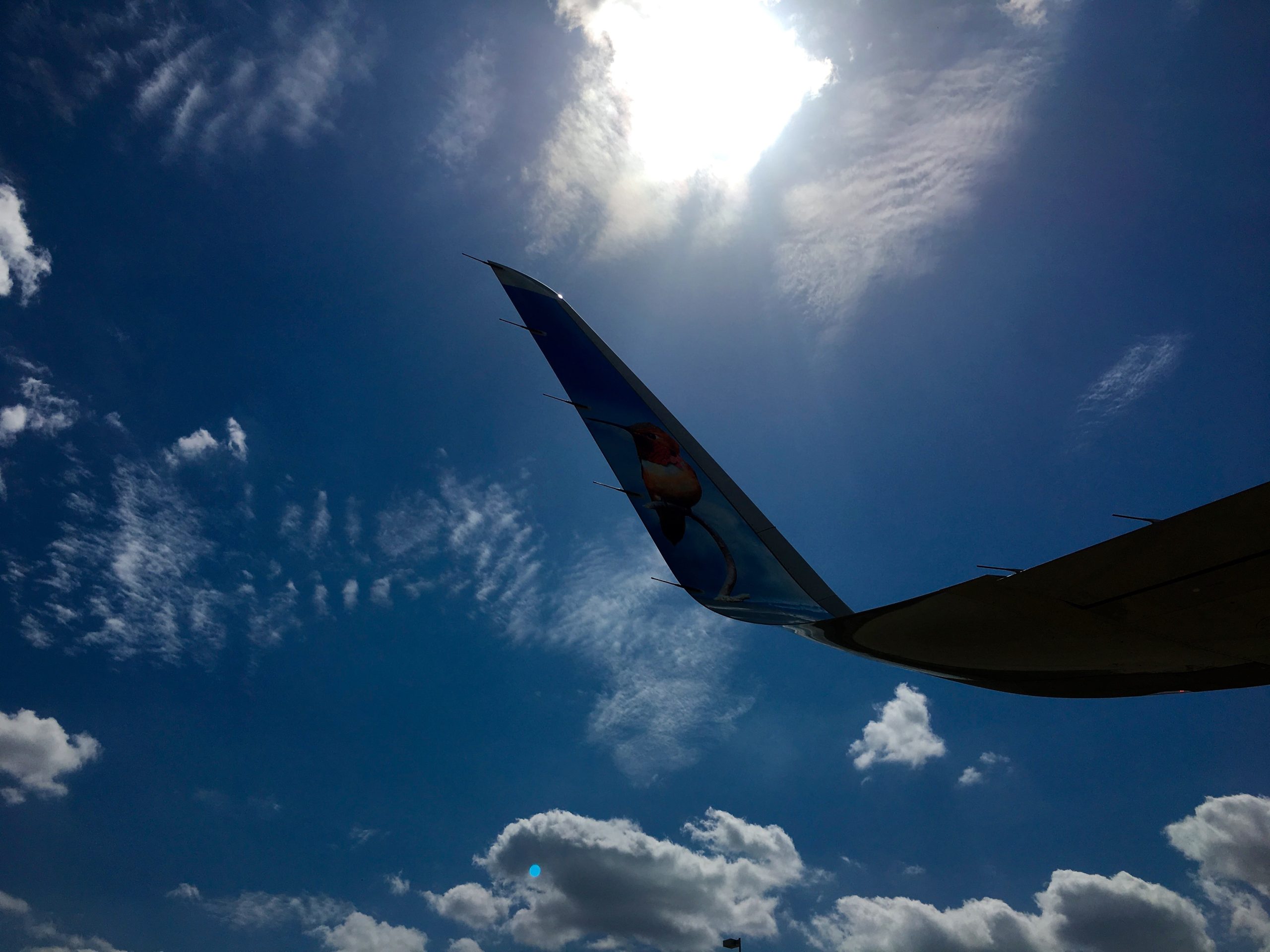 IFR-ready avionics